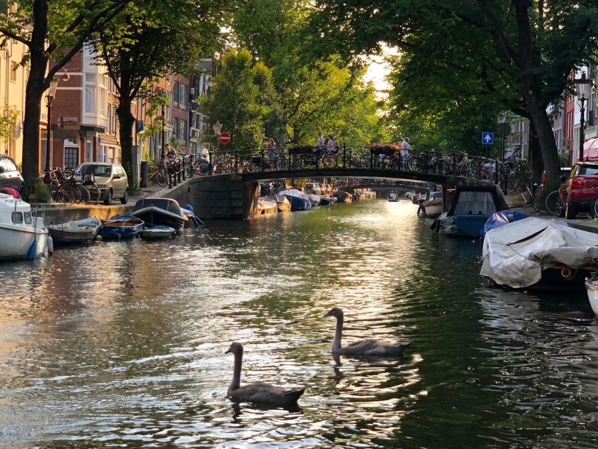 Villa360 Amsterdam Dış mekan fotoğraf